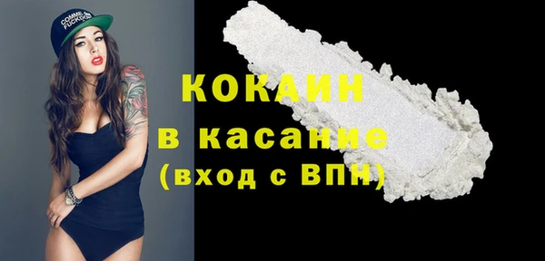 2c-b Новозыбков