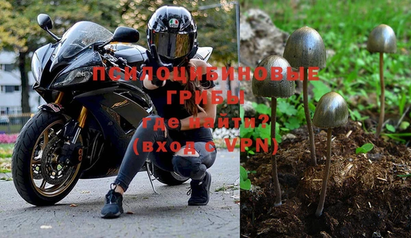 2c-b Новозыбков