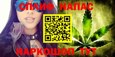 стаф Балаково