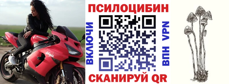 даркнет телеграм Ивантеевка Псилоцибиновые грибы мицелий