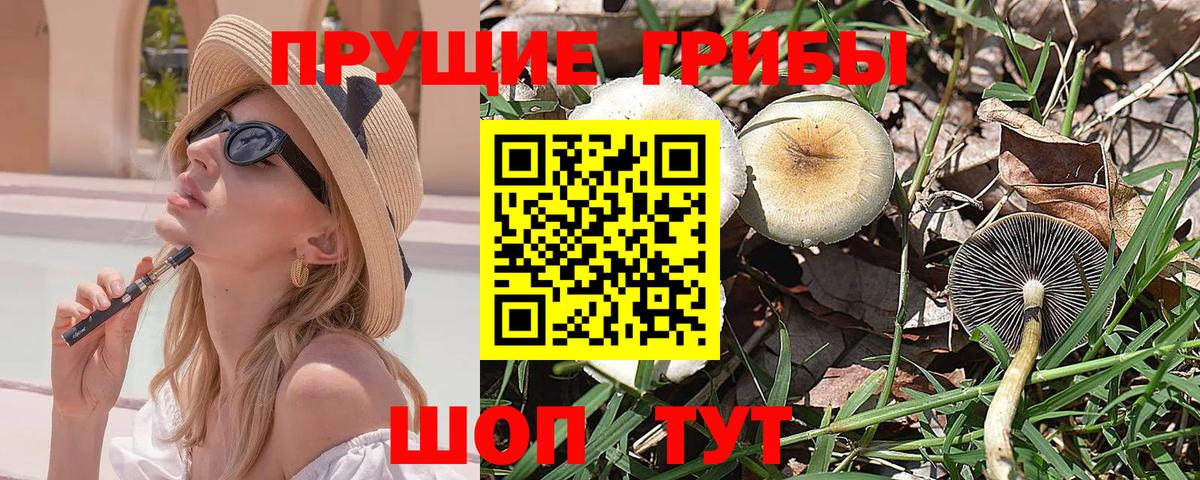 Галлюциногенные грибы прущие грибы  Галлюциногенные грибы MAGIC MUSHROOMS  Ивантеевка 