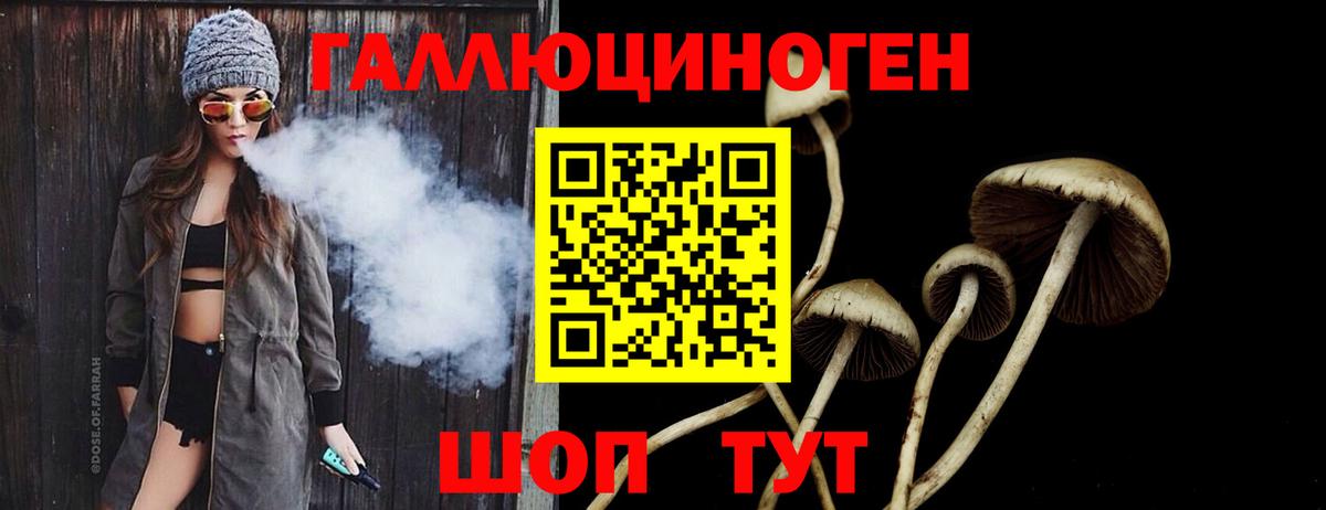 Галлюциногенные грибы мицелий  Вход с VPN  купить наркоту  Ивантеевка  Псилоцибиновые грибы GOLDEN TEACHER 