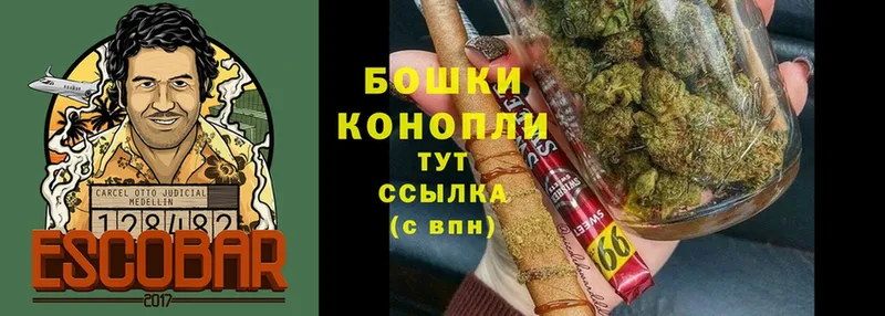 Бошки Шишки гибрид  Ивантеевка 